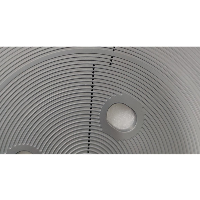 SiC Ring Groove Pin Chuck